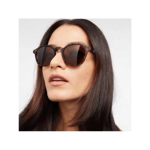 Barner Chamberi Sunglass - Tortoise Sun