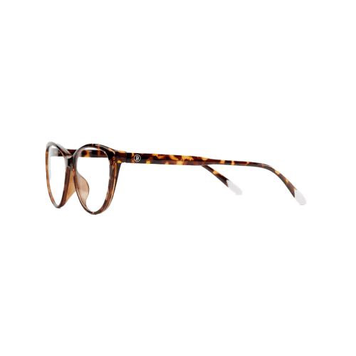 Barner Astoria Glossy Screen Glass - Tortoise