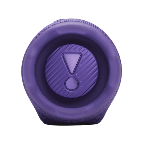 JBL Charge 6 Portable Bluetooth Speaker - Purple